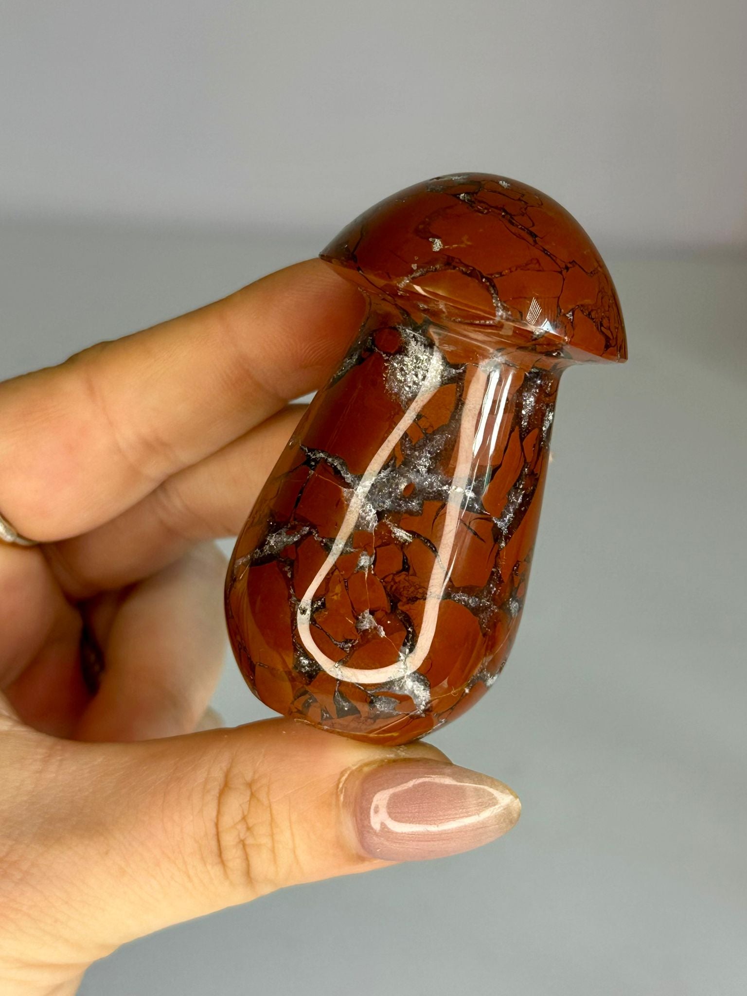 Brecciated Jasper Mushroom Carving #1