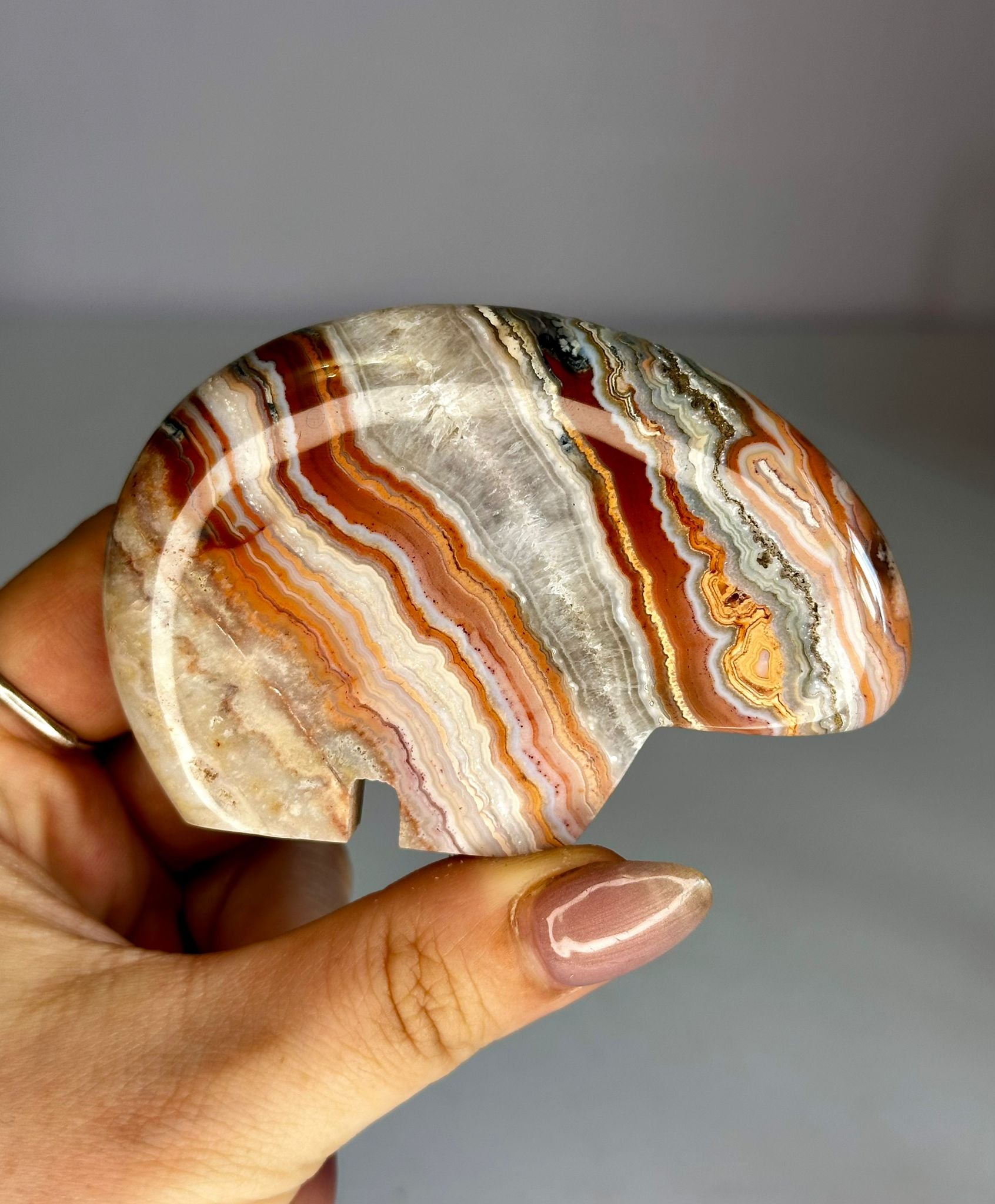 Pink Crazy Lace Agate Zuni Bear