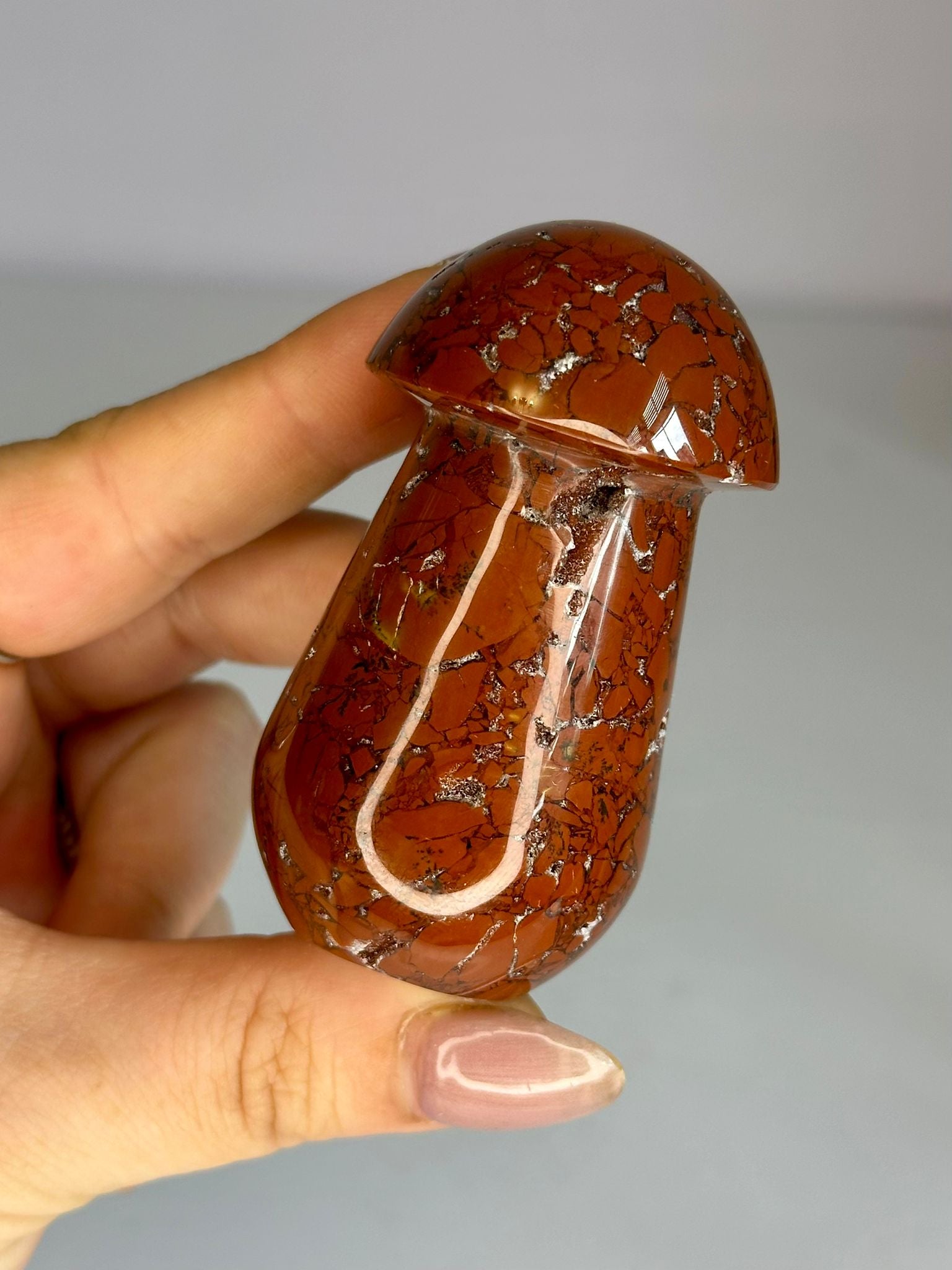 Brecciated Jasper Mushroom Carving #3