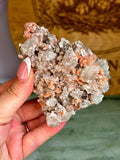 Indian Apophyllite with Coral Pink Heulandite on Chalcedony Cluster #2