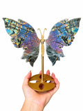 High Flash Labradorite Butterfly Wings on Stand #3