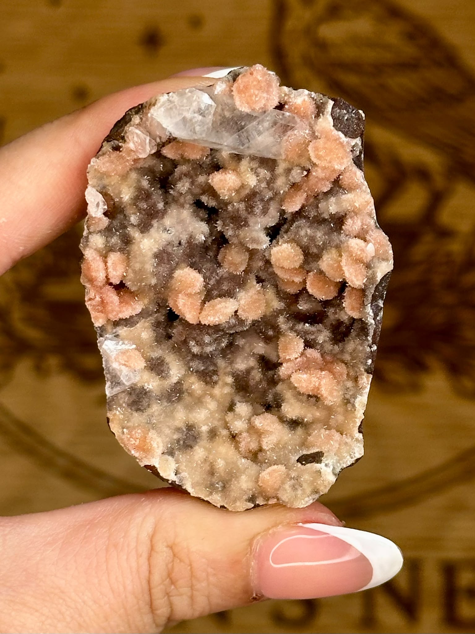 Indian Apophyllite with Coral Pink Heulandite on Chalcedony Cluster #4