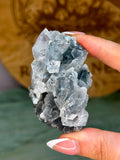 Diamond Apophyllite on Sparkling Black Chalcedony Cluster #6