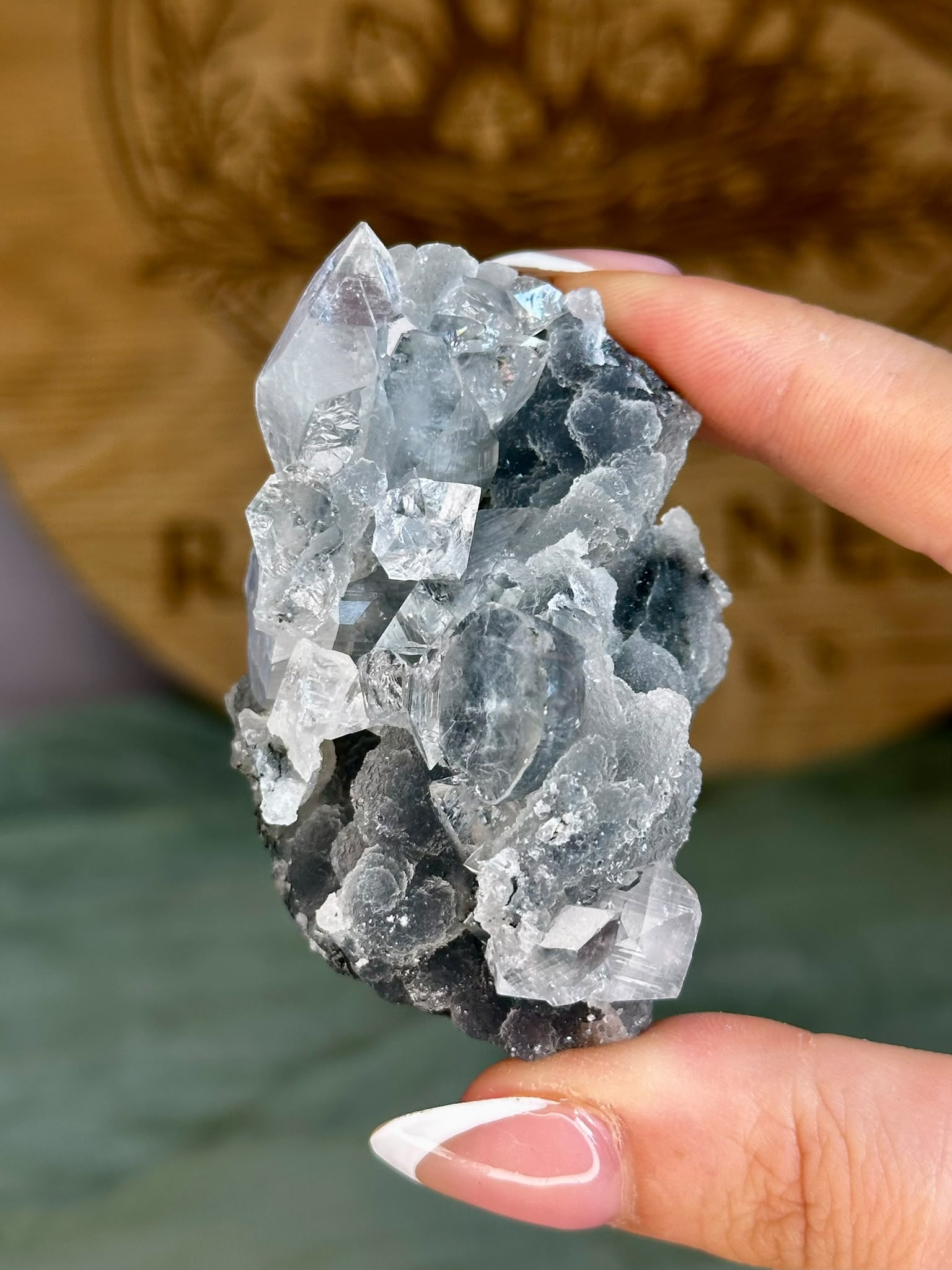 Diamond Apophyllite on Sparkling Black Chalcedony Cluster #6