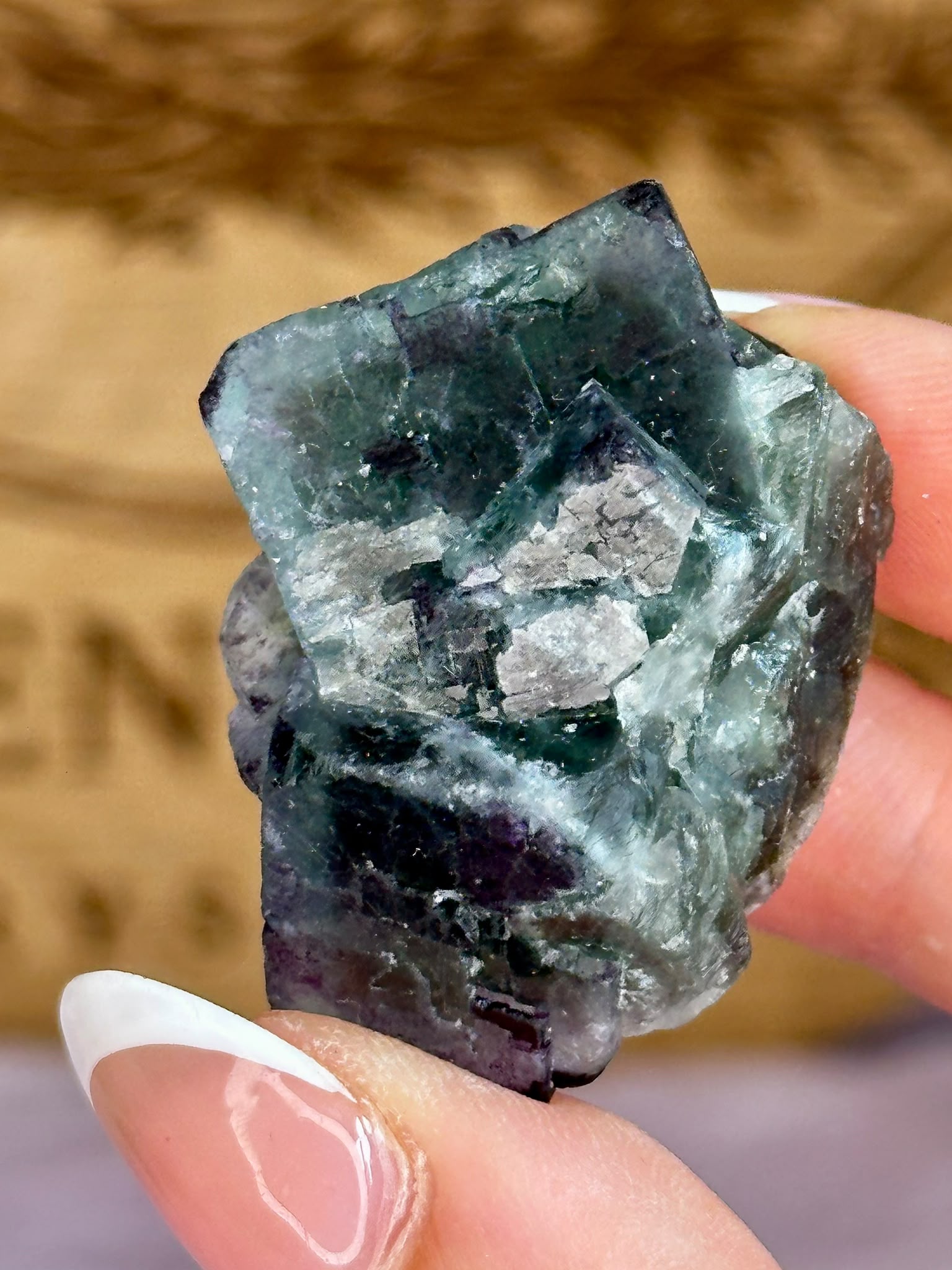 Okorusu Blue Green Fluorite