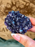 African Amethyst Cluster #1