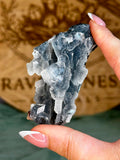 Diamond Apophyllite on Sparkling Black Chalcedony Cluster #2