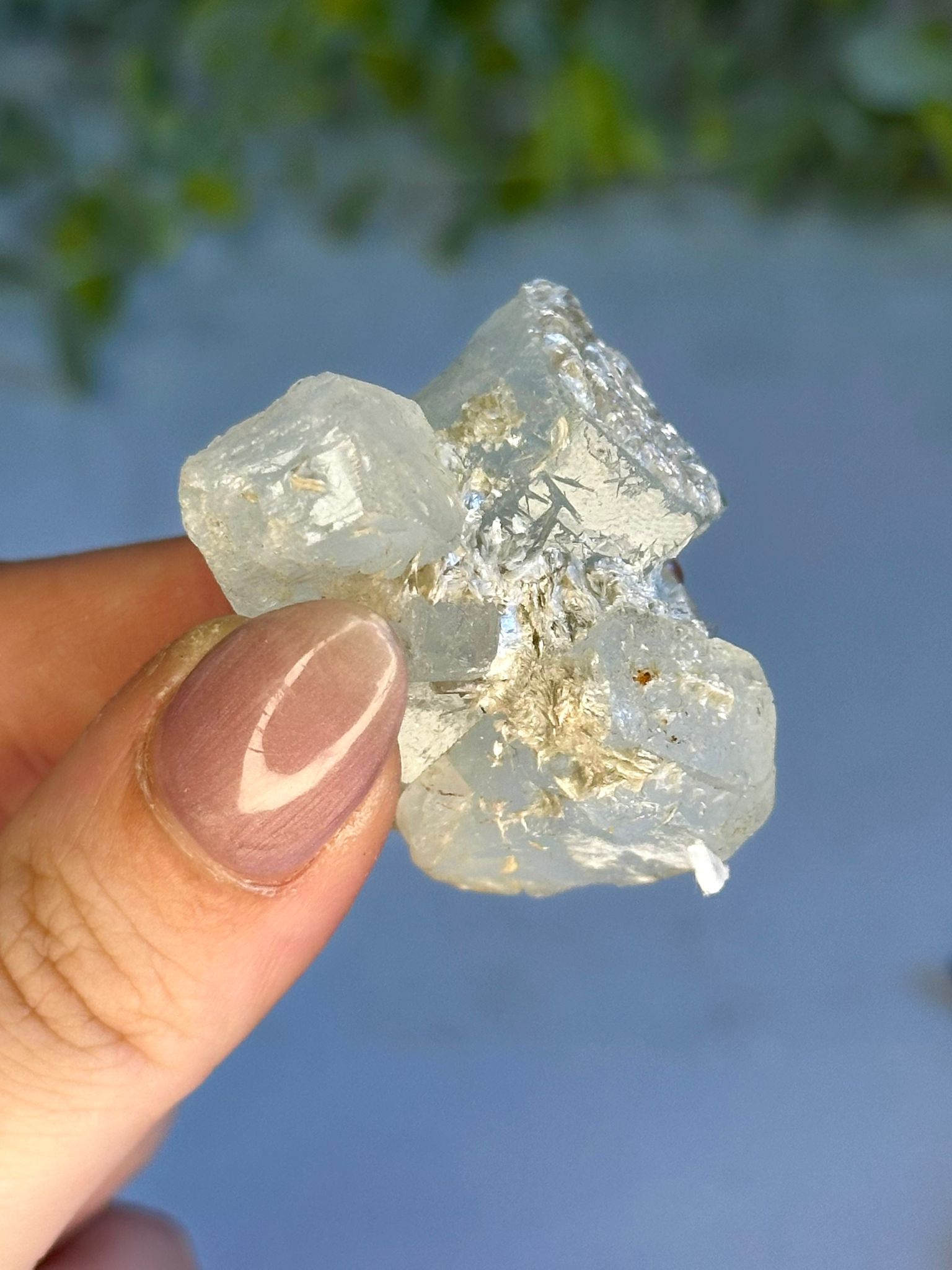 Aquamarine with Golden Mica Cluster