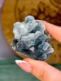 Diamond Apophyllite on Sparkling Black Chalcedony Cluster #4