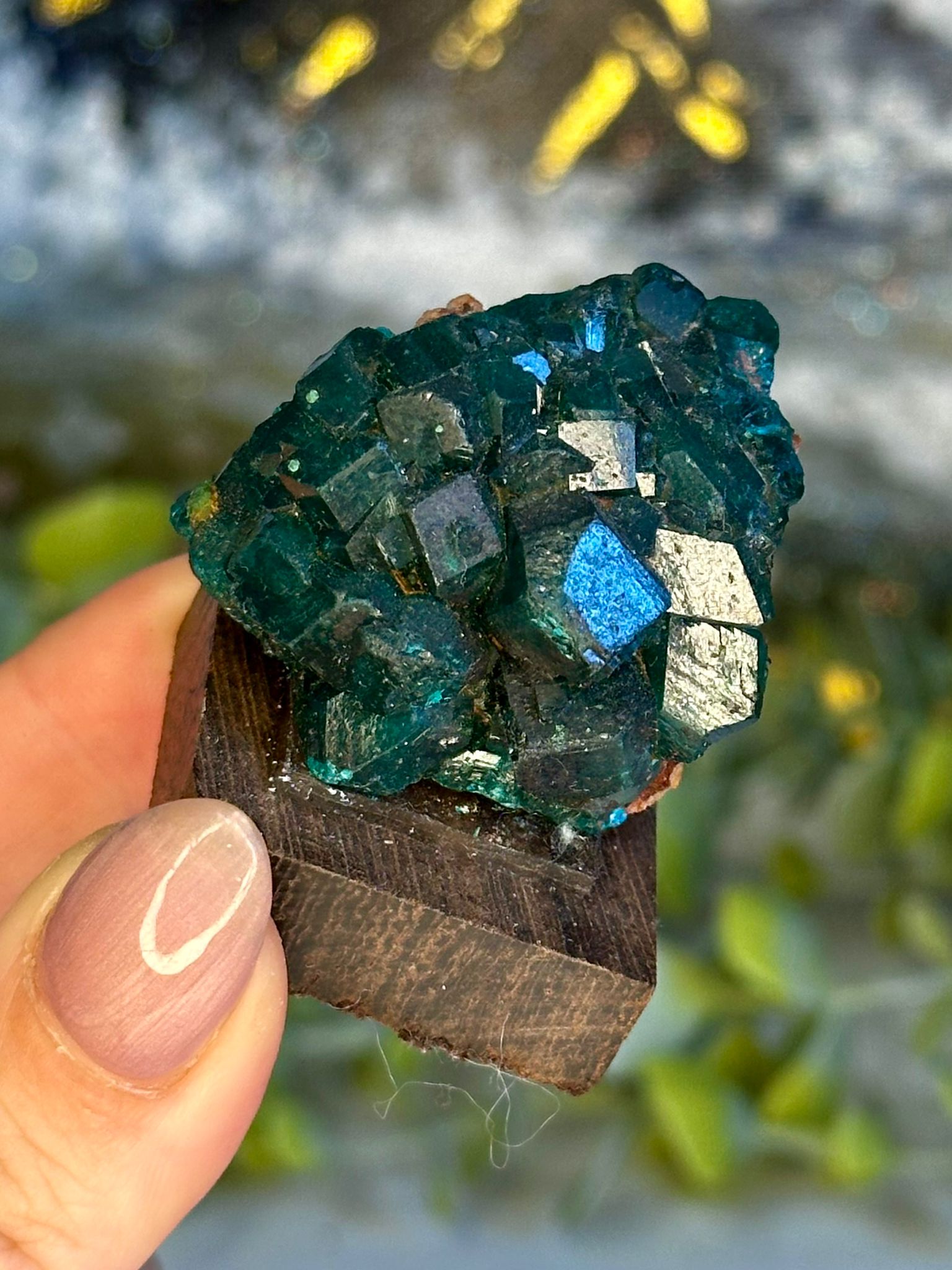 Collector’s Grade Dioptase & Malachite Specimen