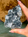 Diamond Apophyllite on Sparkling Black Chalcedony Cluster
