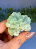 Prehnite Cluster – India