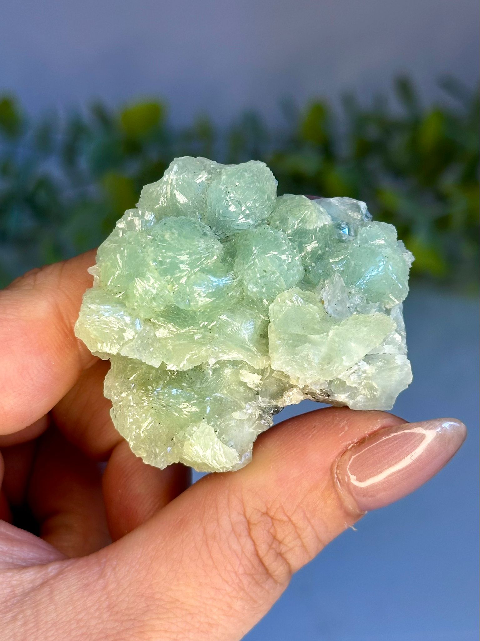 Prehnite Cluster – India