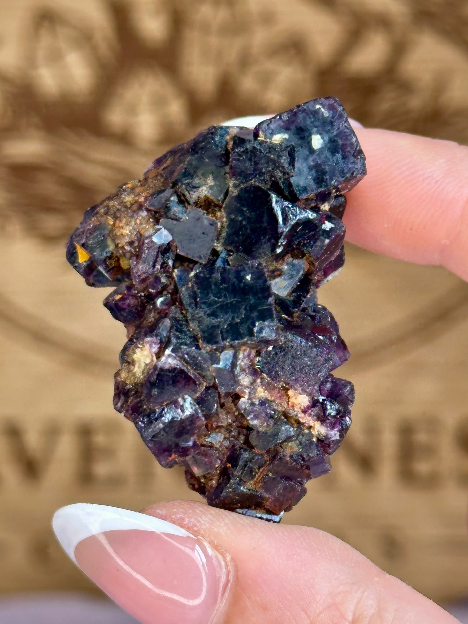 Okorusu Deep Purple Fluorite