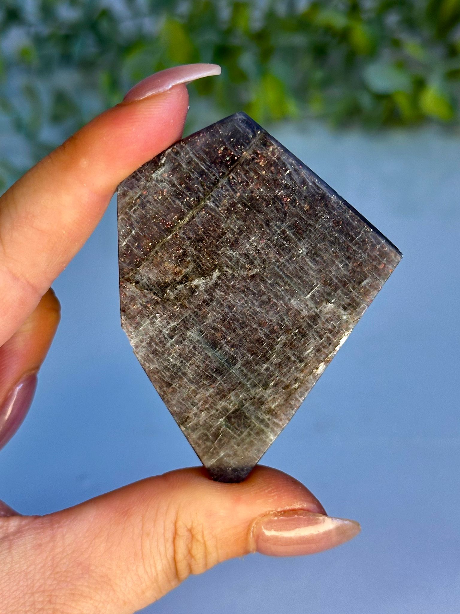 Bloodshot Iolite Freeform