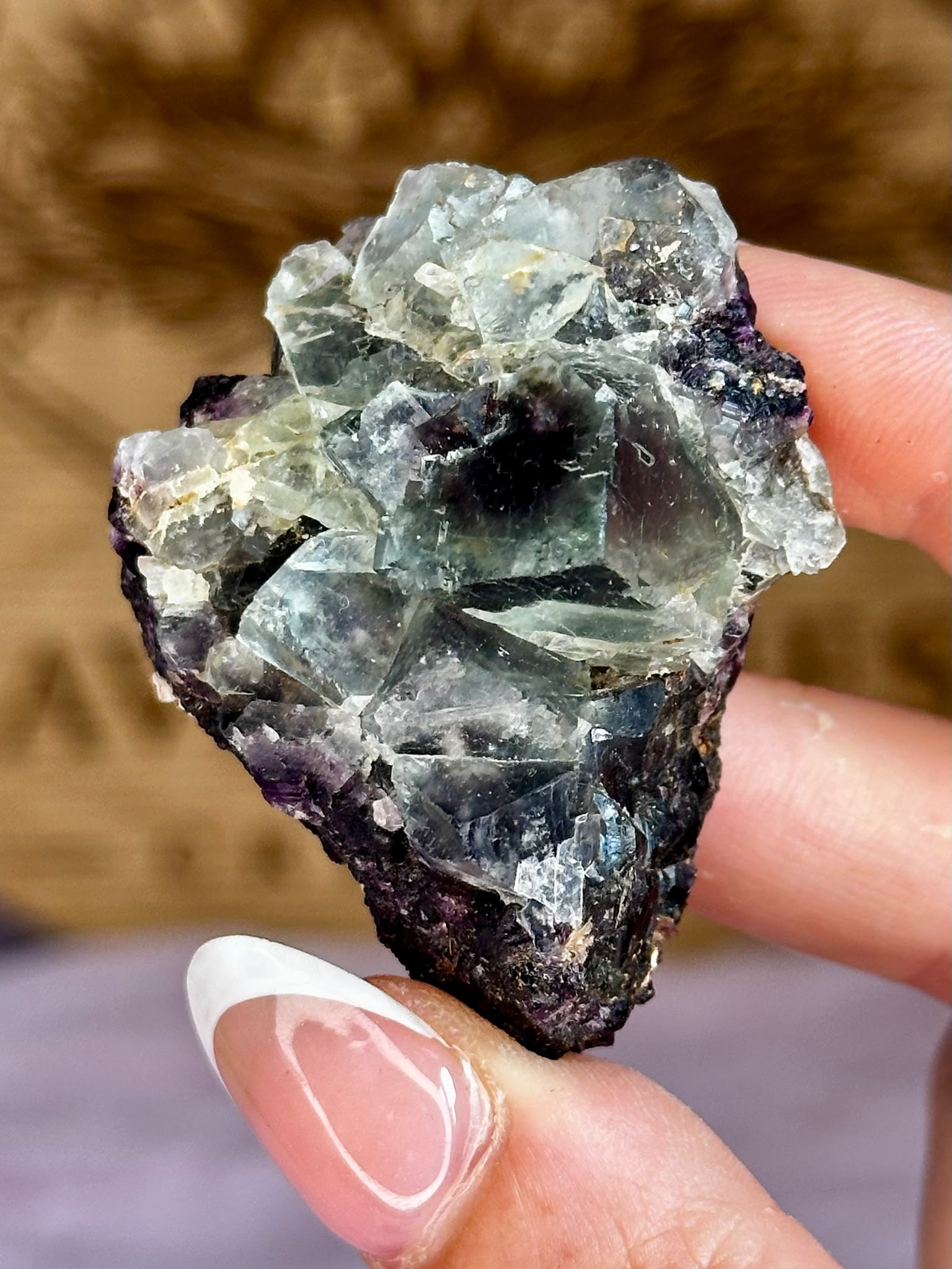 Okorusu Bi Colour Fluorite