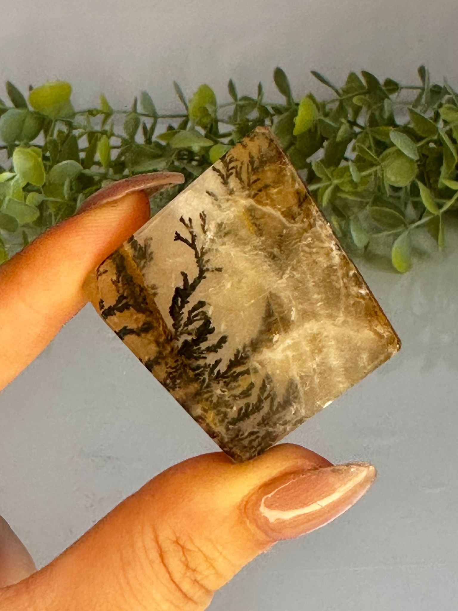 Dendritic Golden Healer Freeform