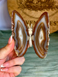 Large Brazilian Agate Butterfly
