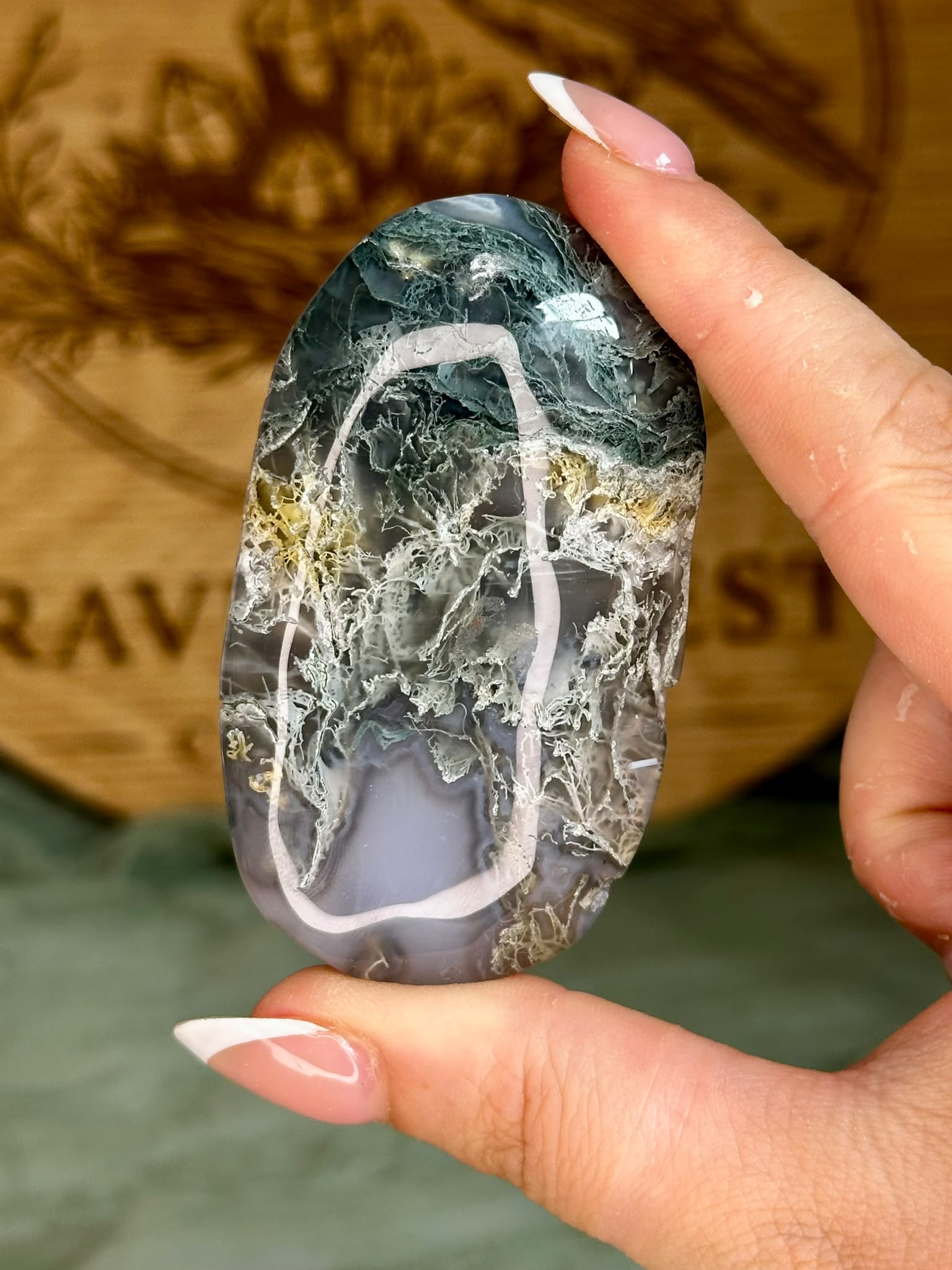 Large Moss Agate Palm Stone