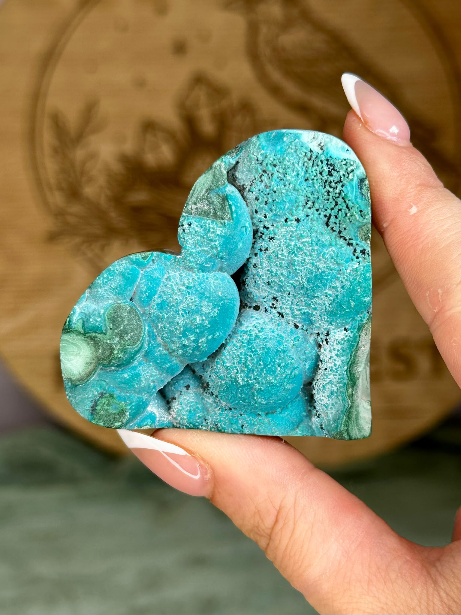 Malacholla Heart