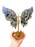 High Flash Labradorite Butterfly Wings on Stand #2