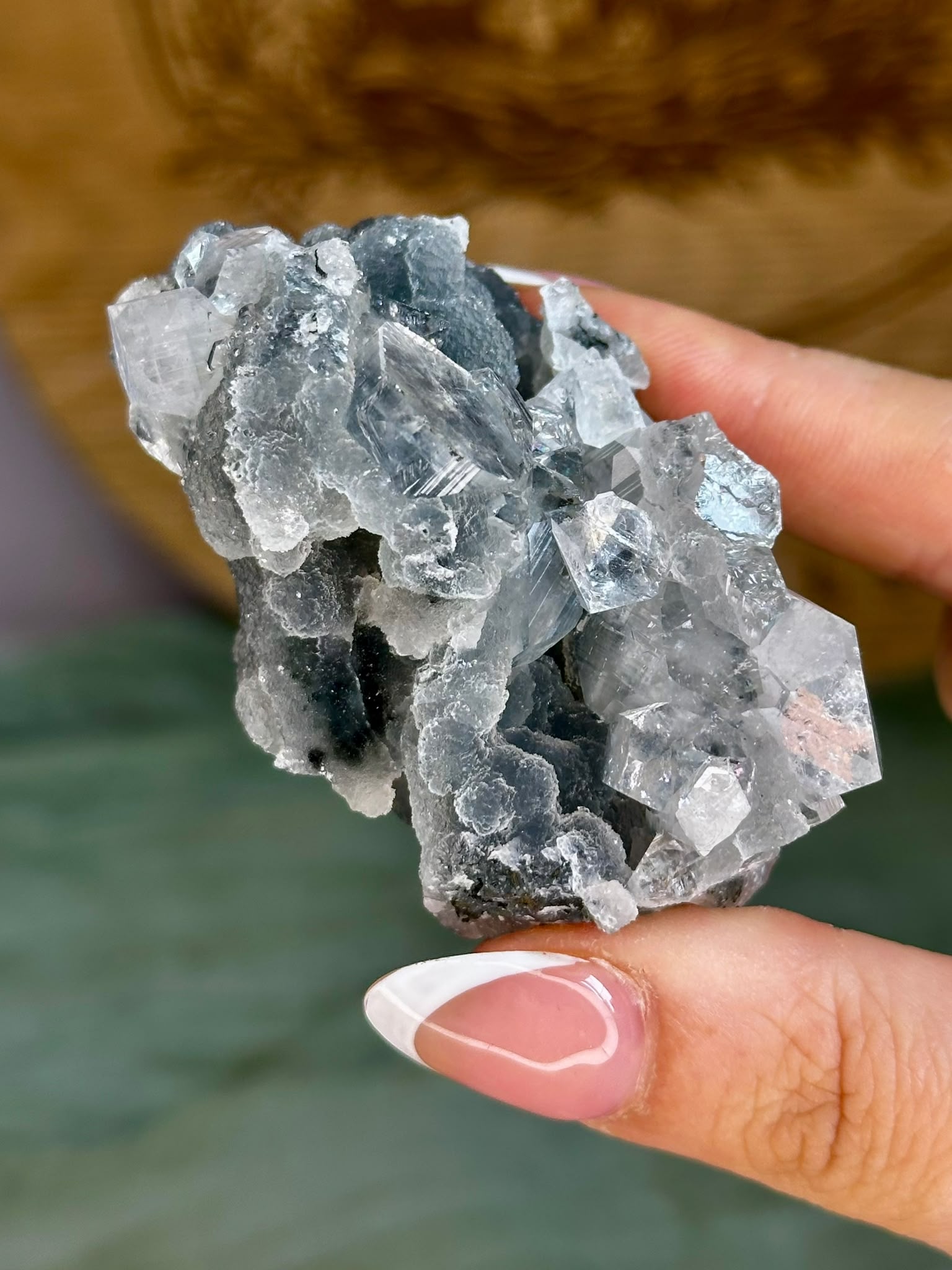 Diamond Apophyllite on Sparkling Black Chalcedony Cluster #6