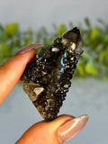 Black Spirit Quartz Cluster