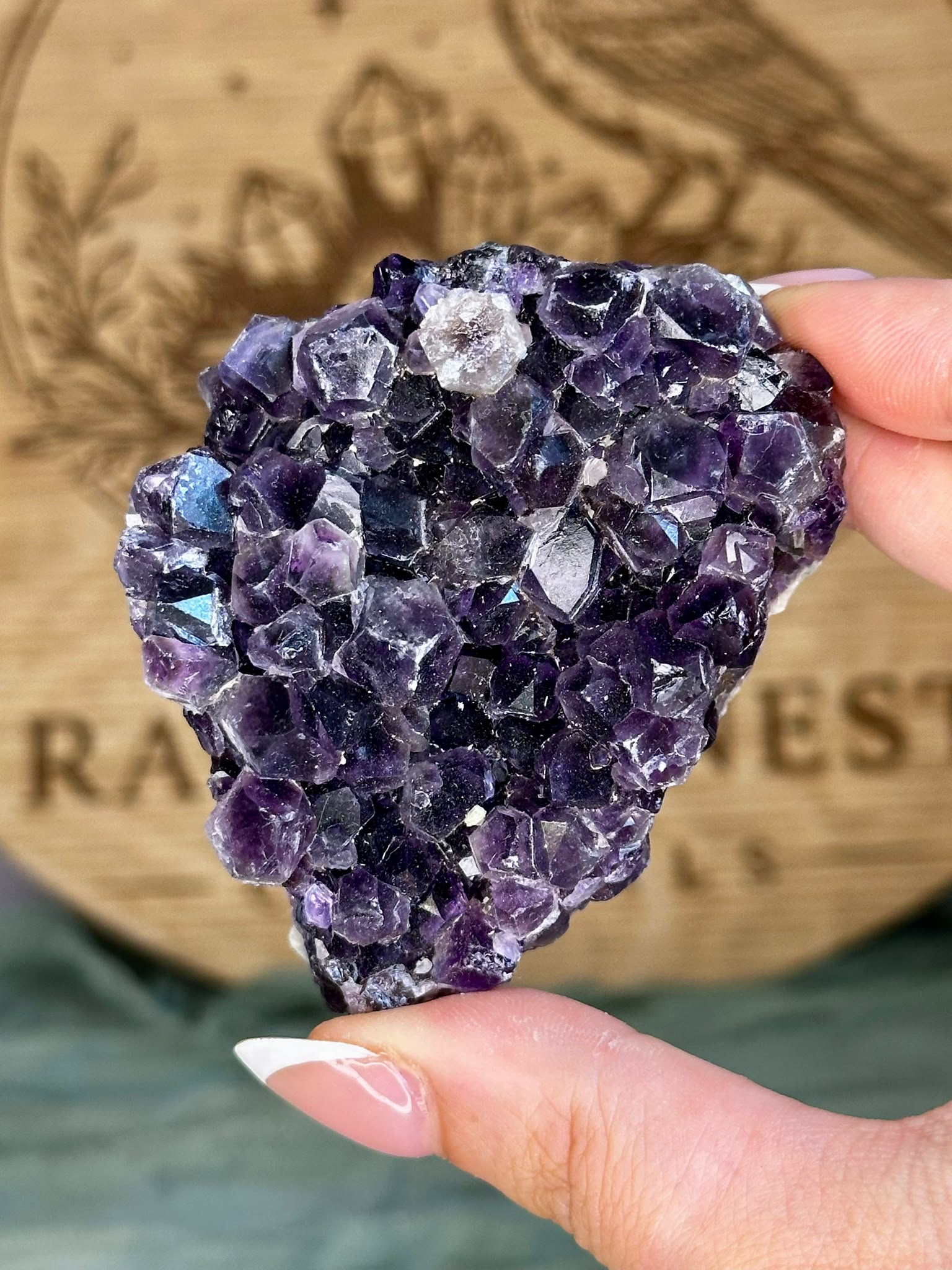 African Amethyst Cluster #2