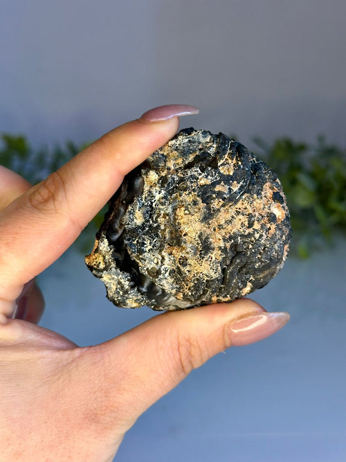 Black Agate Geode Pair – Brazil