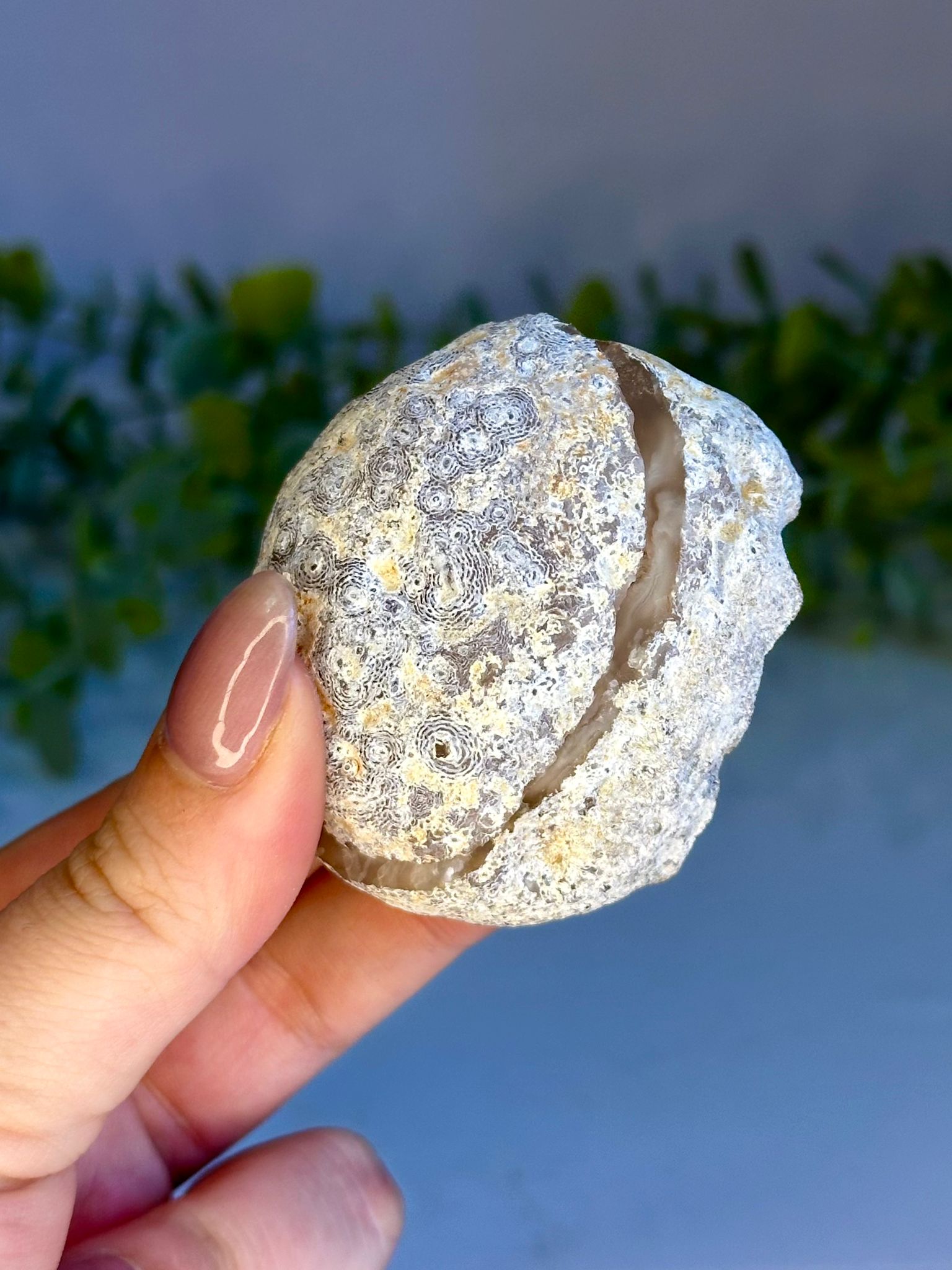 Pink Agate Geode Pair – Brazil