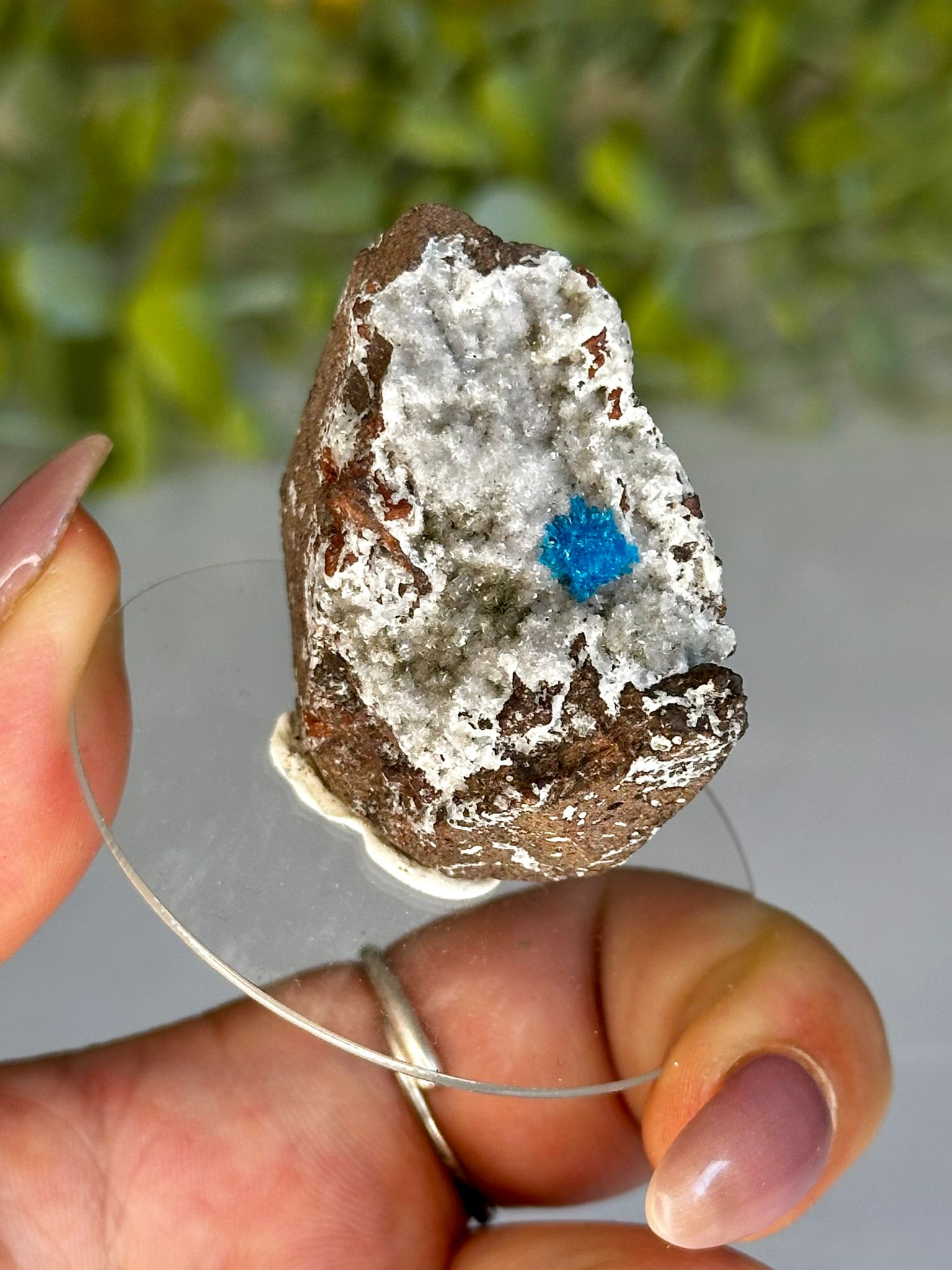 Natural Cavansite on Matrix Specimen