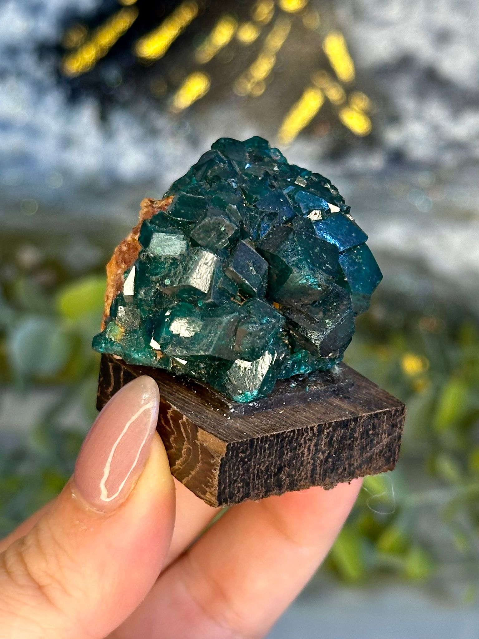Collector’s Grade Dioptase & Malachite Specimen