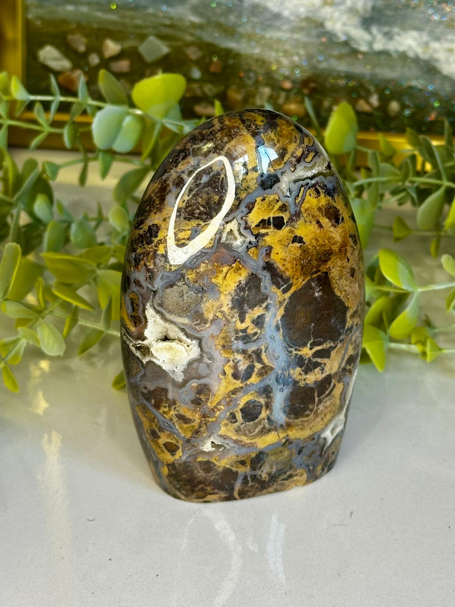 Large Indonesian Blue Brecciated Jasper Freeform