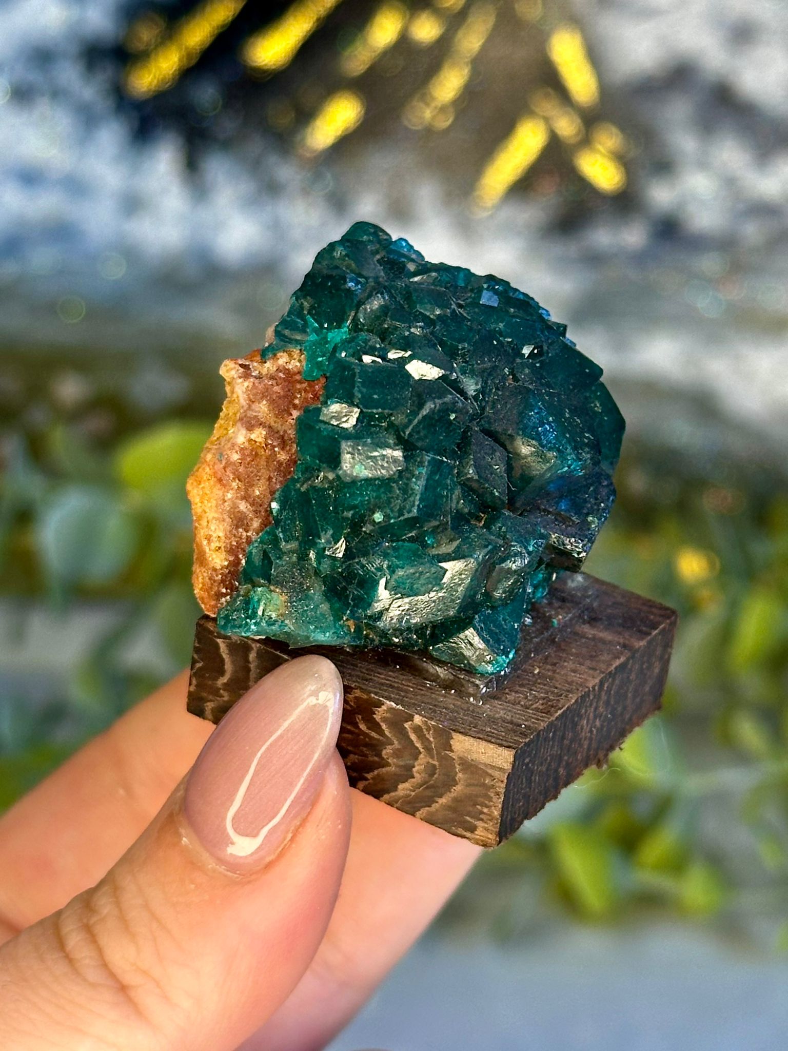 Collector’s Grade Dioptase & Malachite Specimen