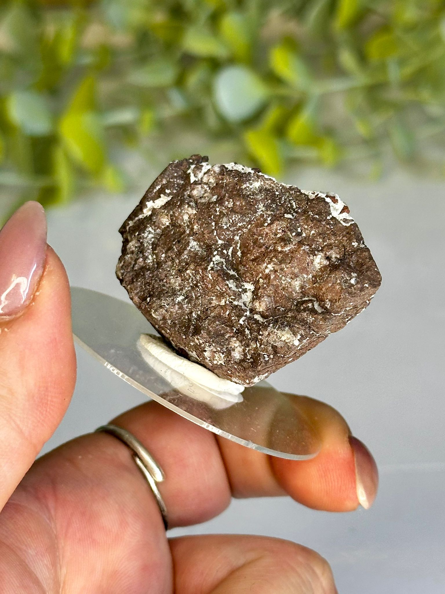 Natural Cavansite on Matrix Specimen