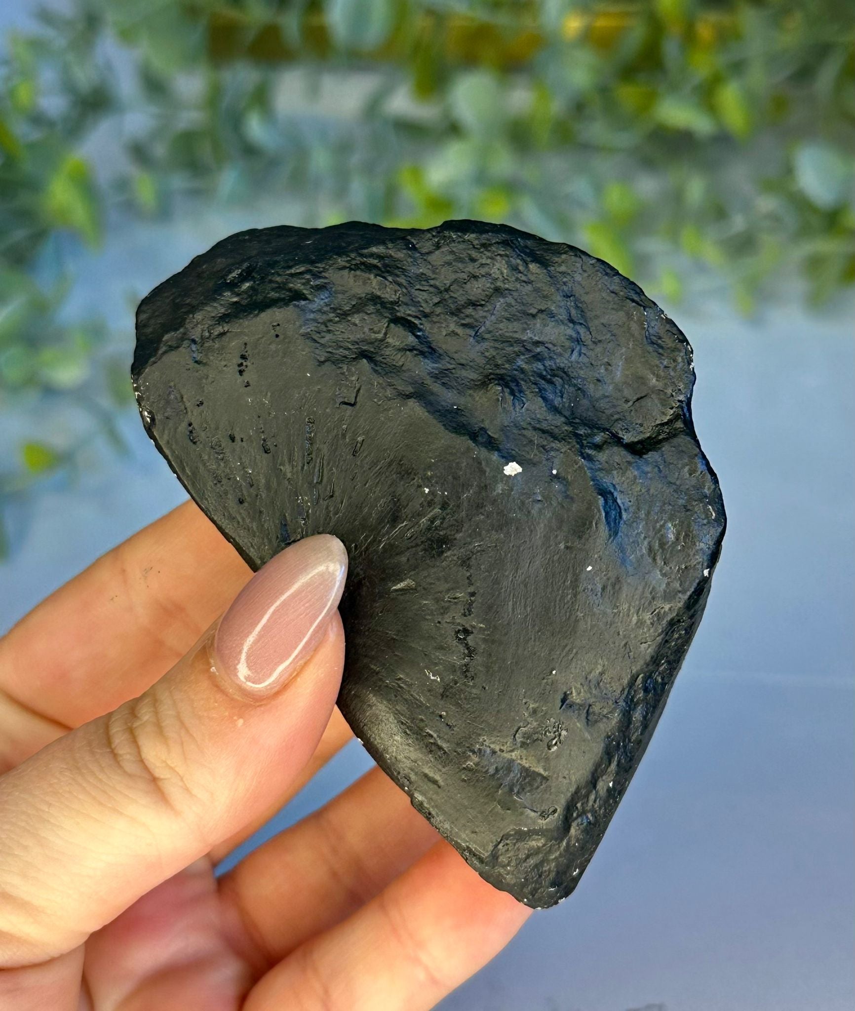 Natural Chrysanthemum Stone Specimen