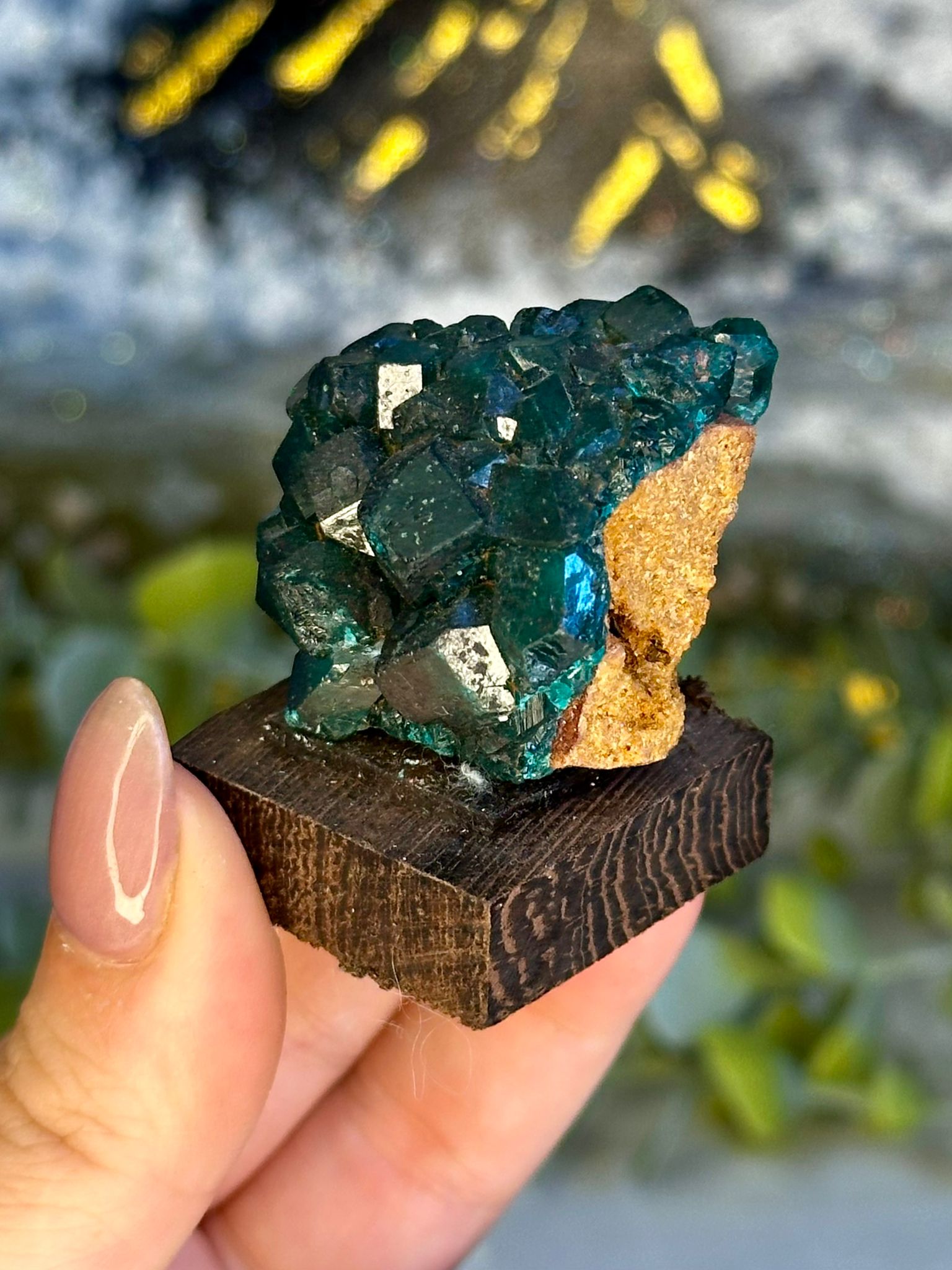 Collector’s Grade Dioptase & Malachite Specimen