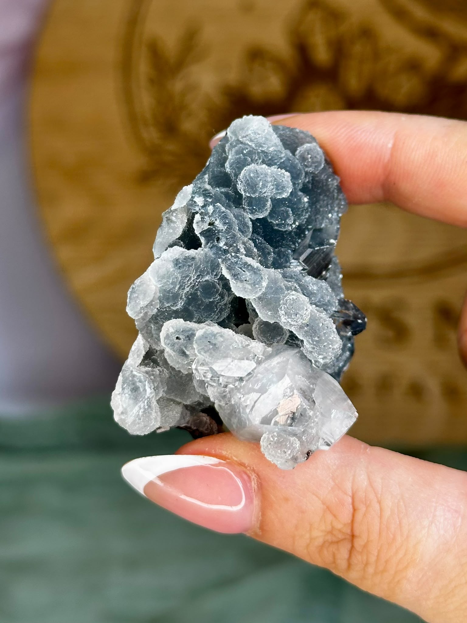 Diamond Apophyllite on Sparkling Black Chalcedony Cluster #4