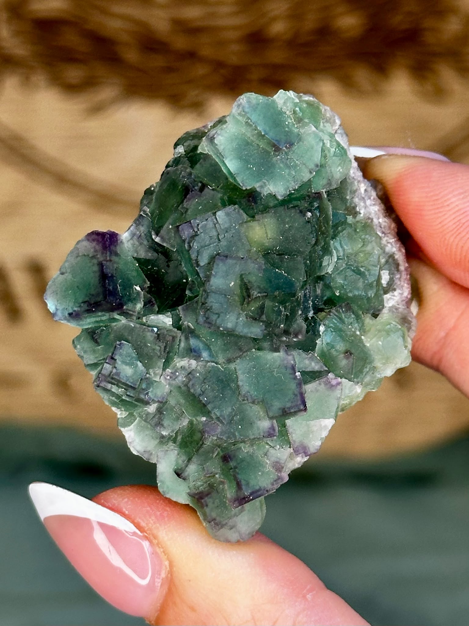Purple Zoned Green Cubic Fluorite - Okorusu Namibia