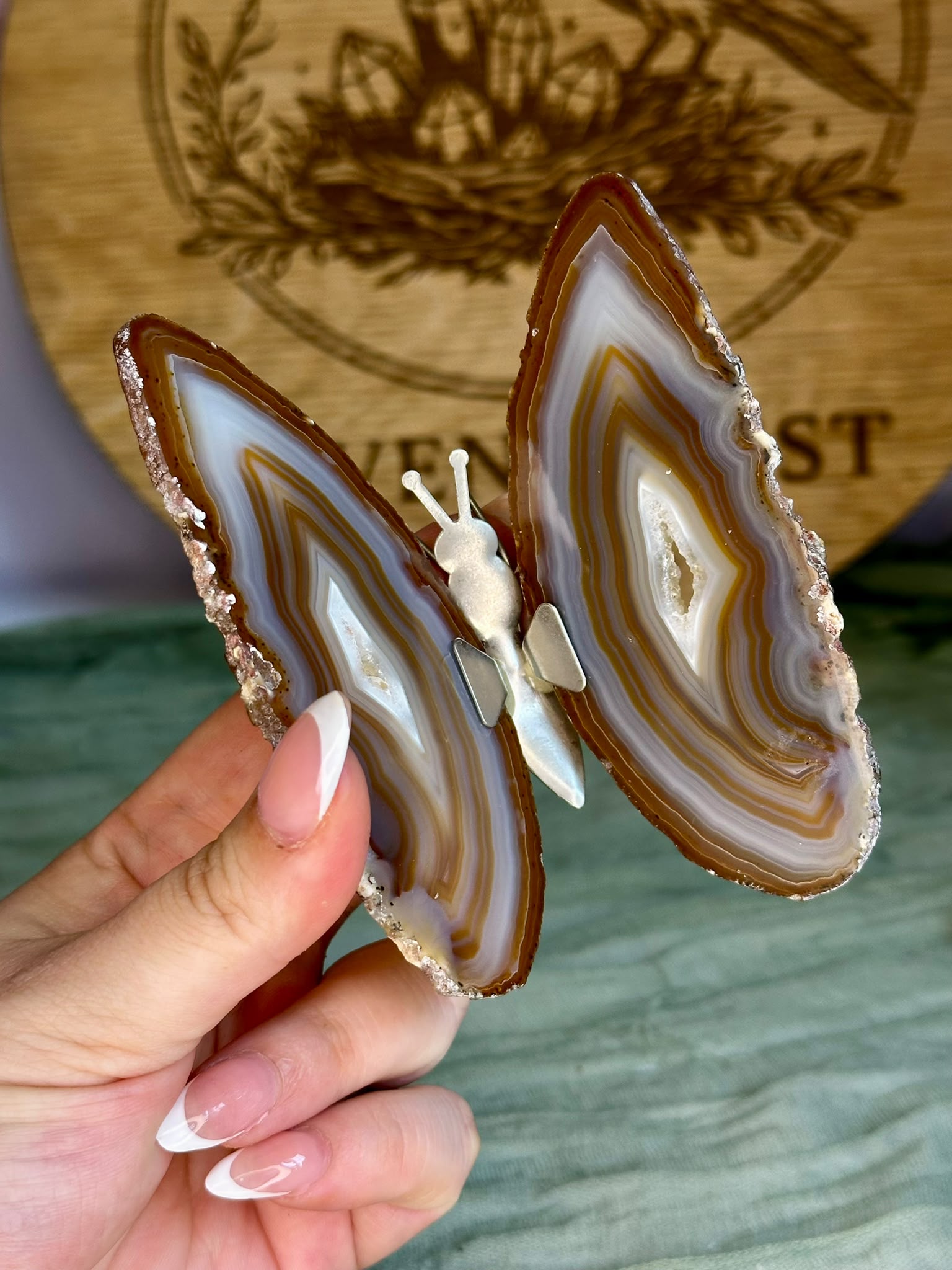 Large Brazilian Agate Butterfly