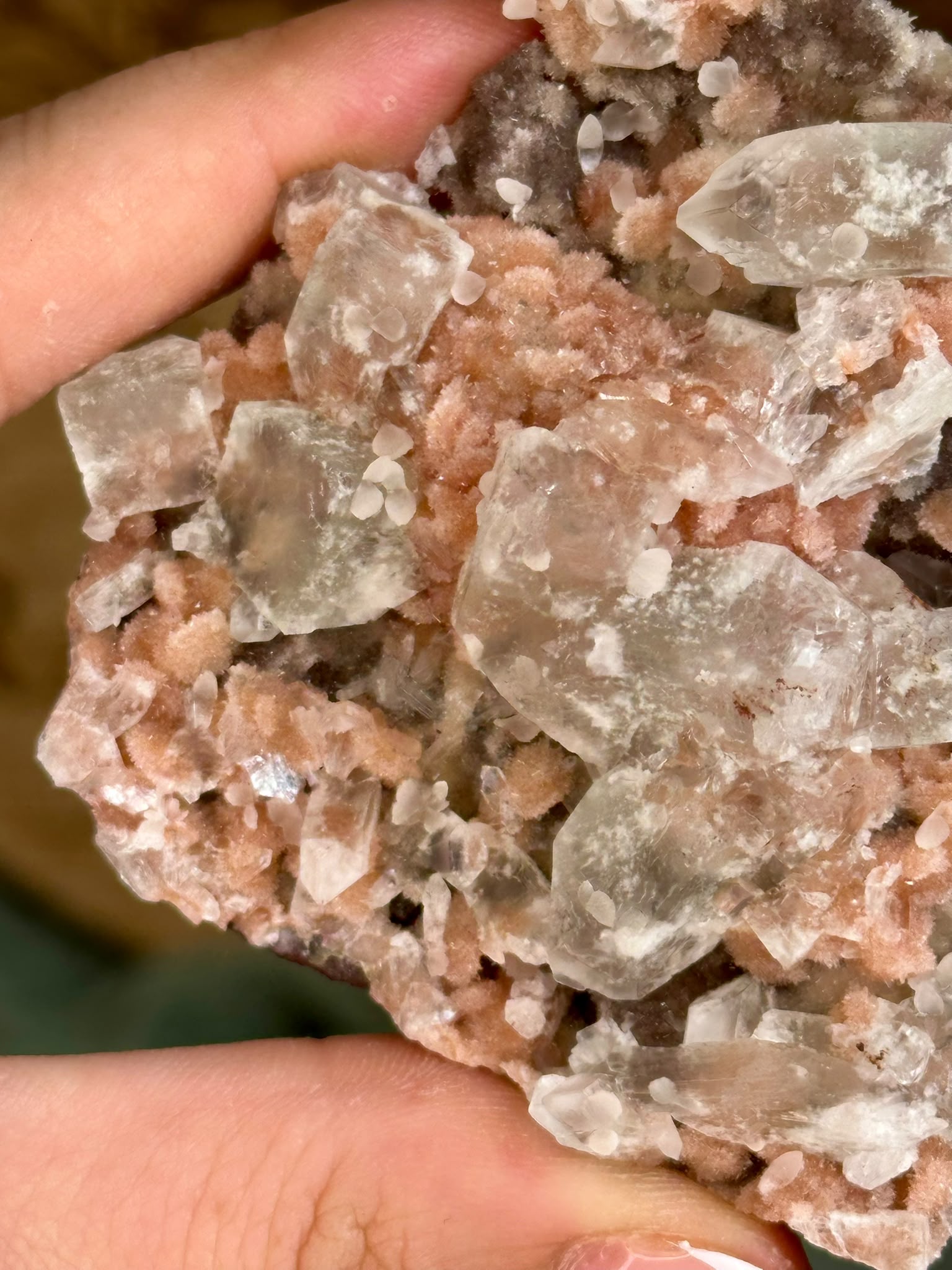 Indian Apophyllite with Coral Pink Heulandite on Chalcedony Cluster #3