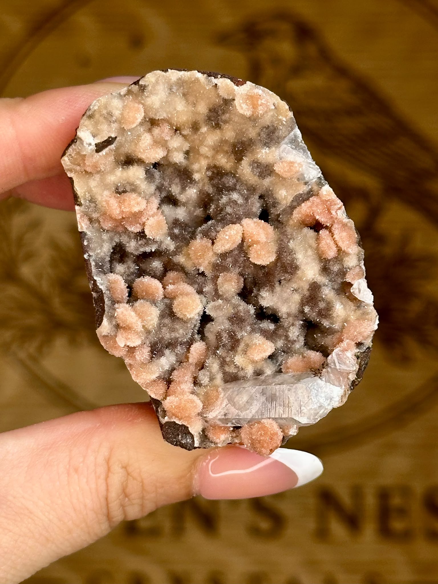 Indian Apophyllite with Coral Pink Heulandite on Chalcedony Cluster #4