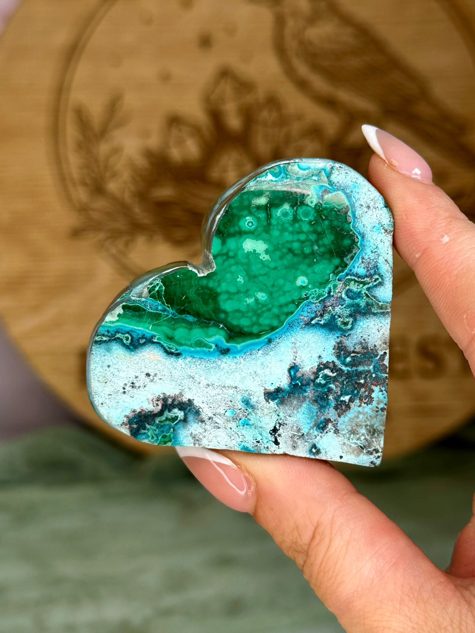 Malacholla Heart