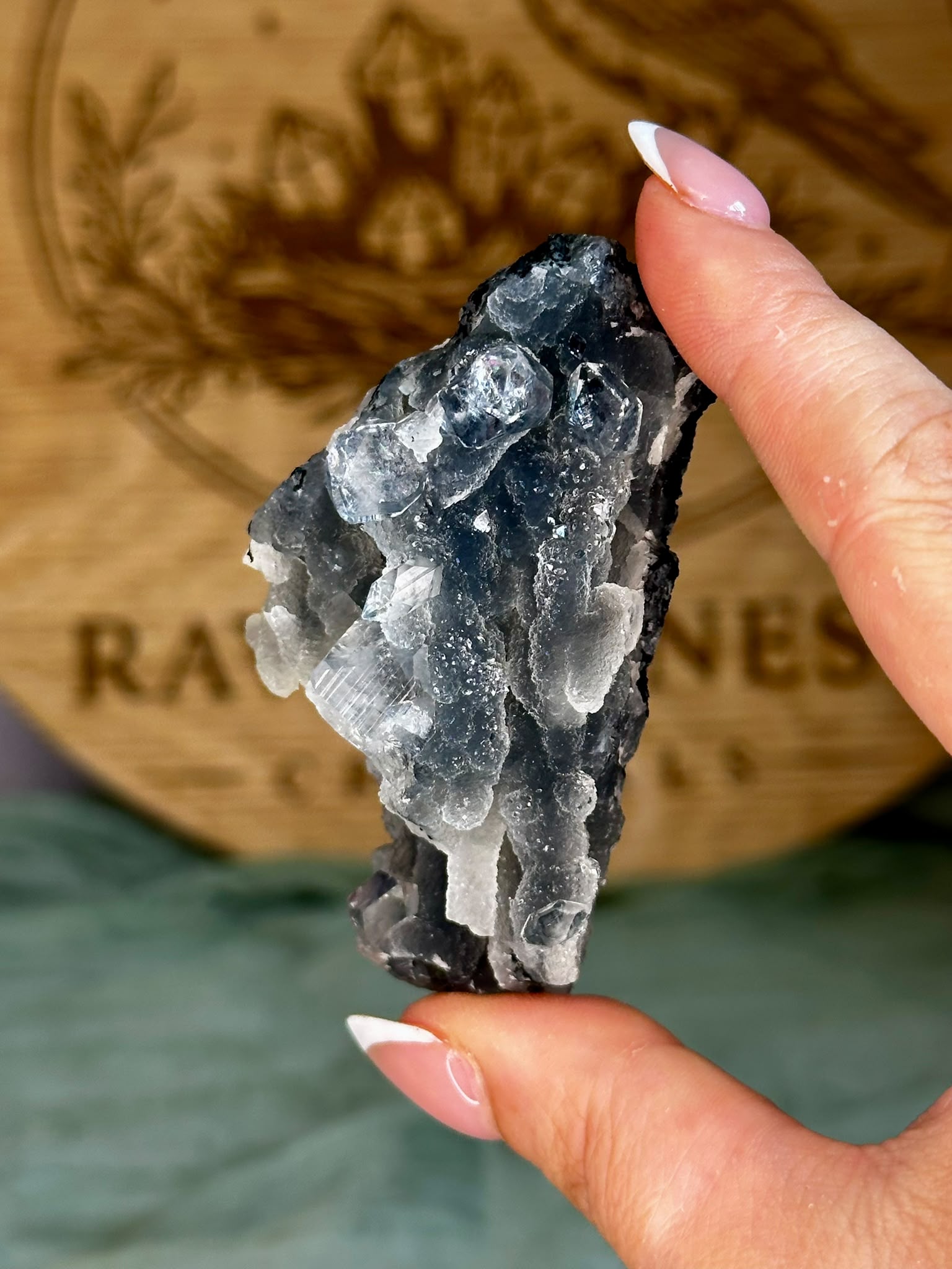 Diamond Apophyllite on Sparkling Black Chalcedony Cluster #2