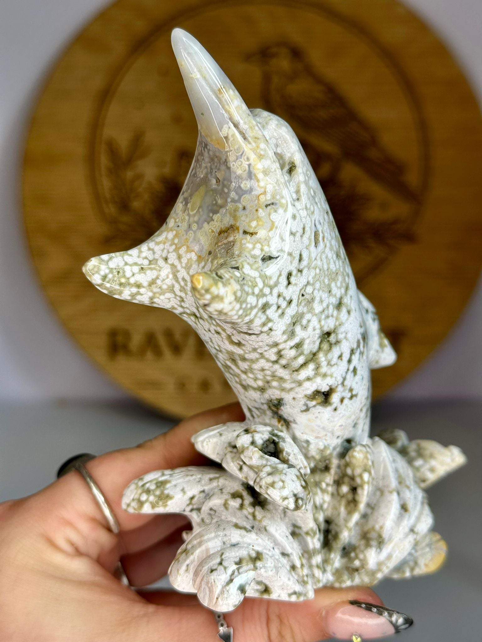 Large Druzy Orbicular Ocean Jasper Dolphin