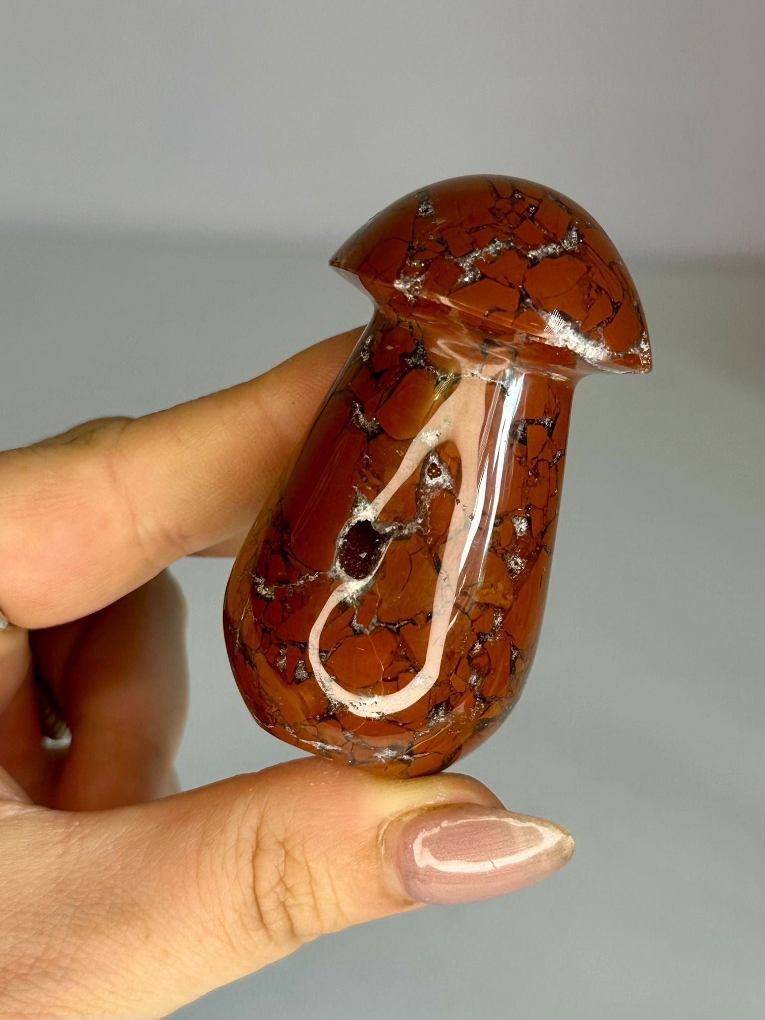 Brecciated Jasper Mushroom Carving #1