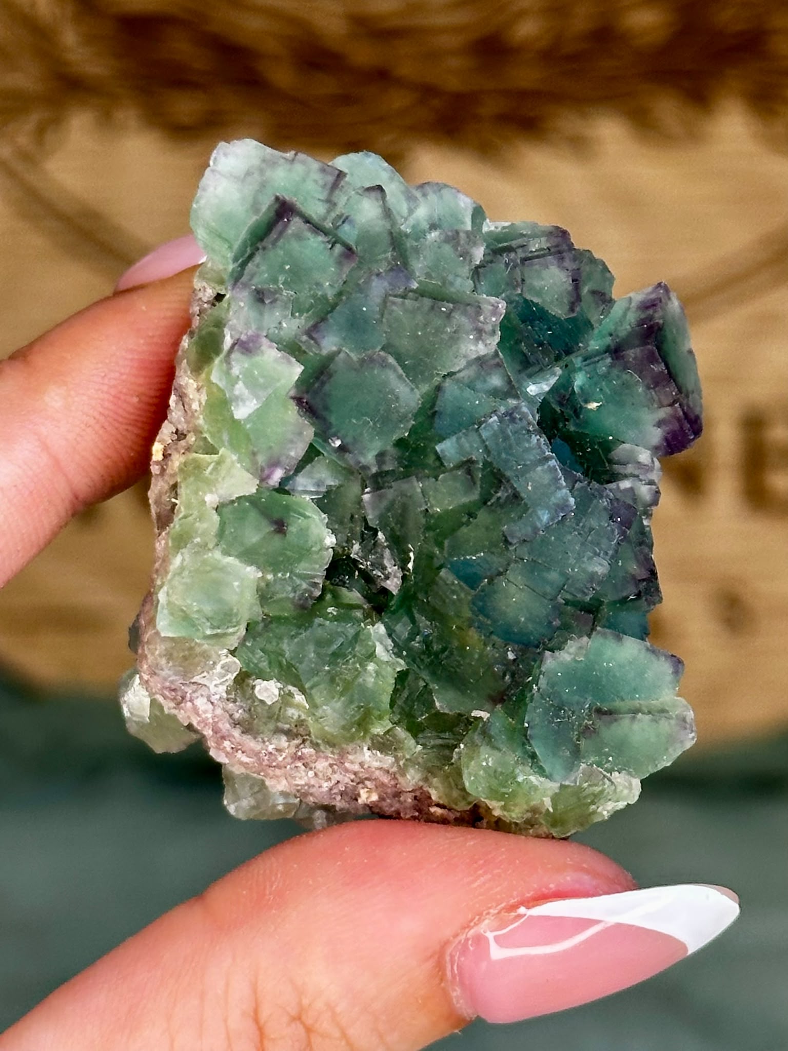 Purple Zoned Green Cubic Fluorite - Okorusu Namibia