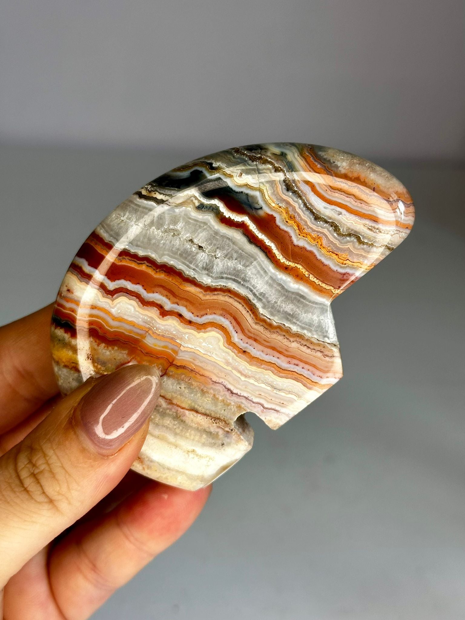 Pink Crazy Lace Agate Zuni Bear #2