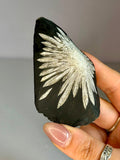 Natural Chrysanthemum Stone Specimen