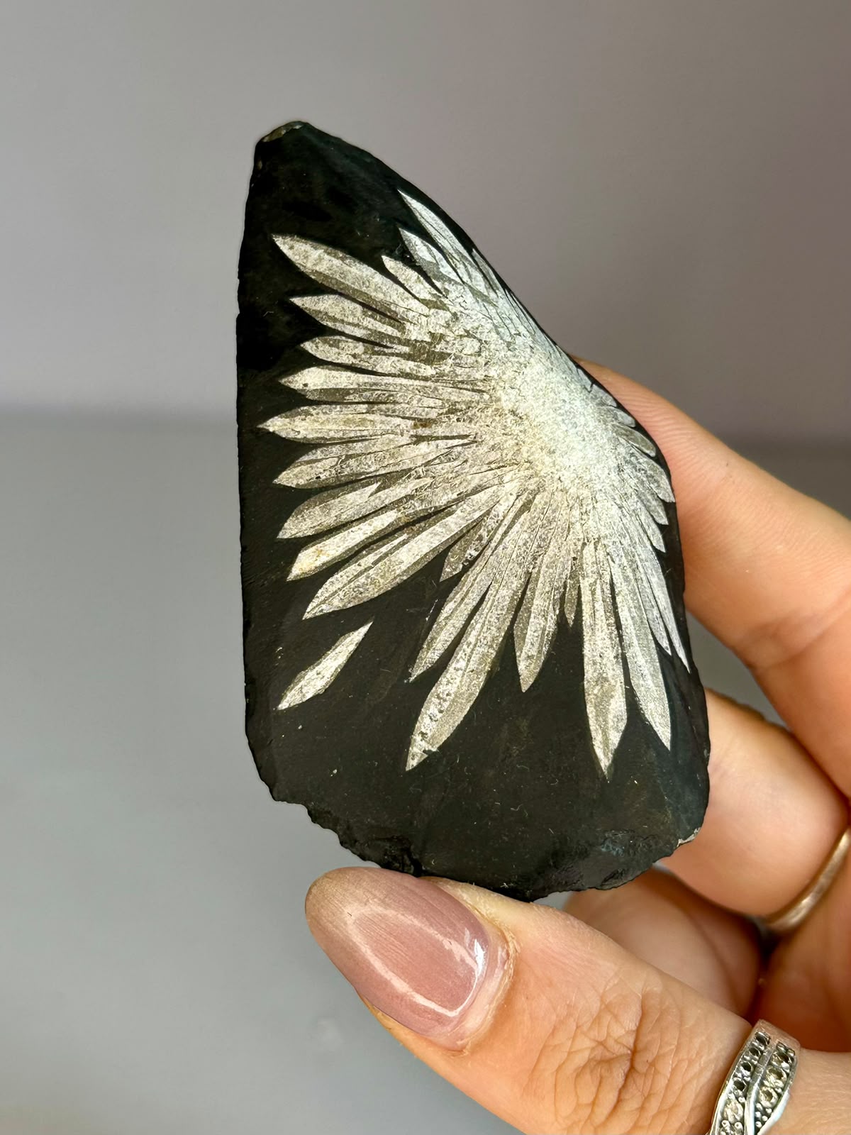 Natural Chrysanthemum Stone Specimen